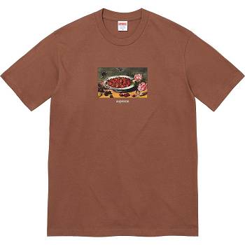 Brown Supreme Strawberries Tee T Shirts | IN340HK