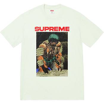Mint Supreme Ronin Tee T Shirts | IN353EX
